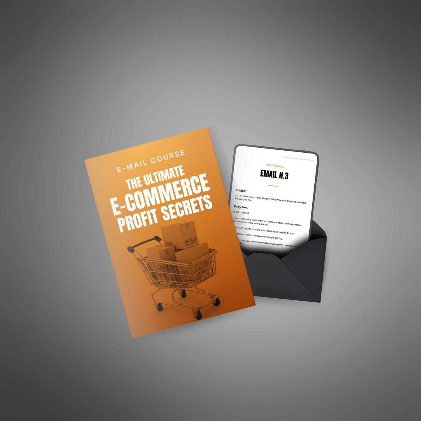 The Ultimate E-Commerce Profit Secrets - Online Course